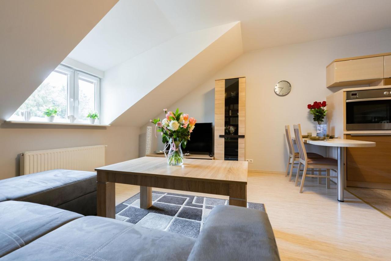 Apartment Perlowy Z Balkonem- Dream Ustron